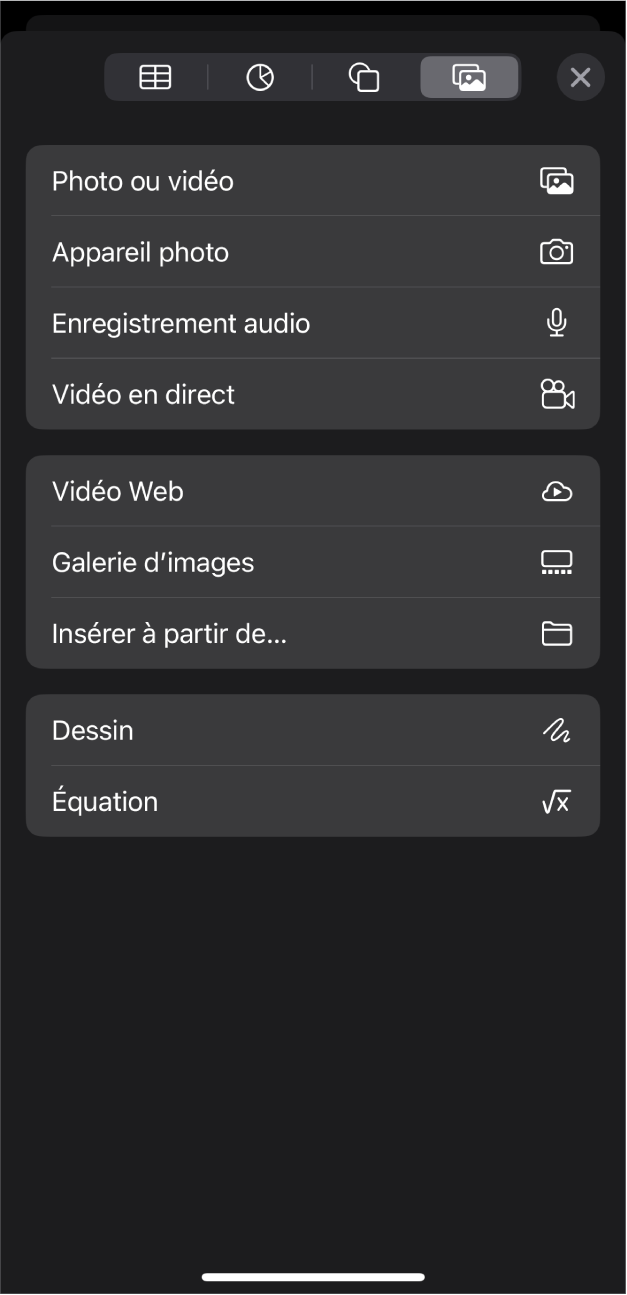 Le menu Multimédia affiche des boutons permettant d’ajouter et d’enregistrer divers objets multimédias.