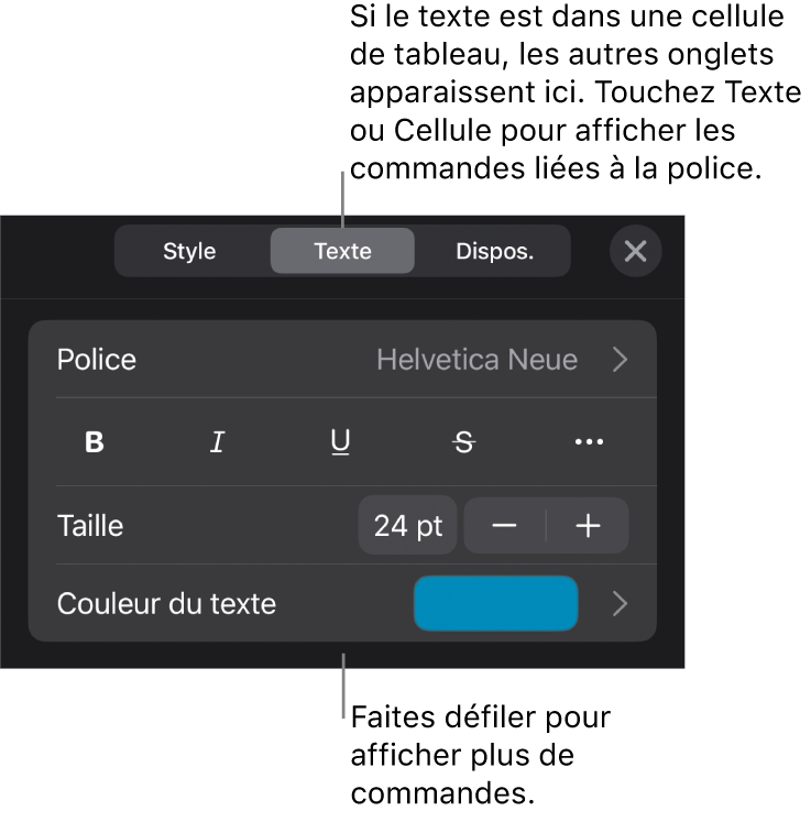 Commandes de texte du menu de format permettant de définir les styles, la police, la taille et la couleur des paragraphes et des caractères.