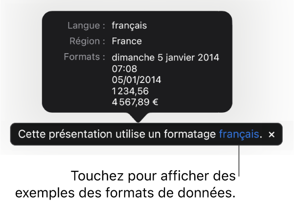 La notification du réglage de langue et de région différents, qui affiche des exemples de la mise en forme correspondant à cette langue et à cette région.