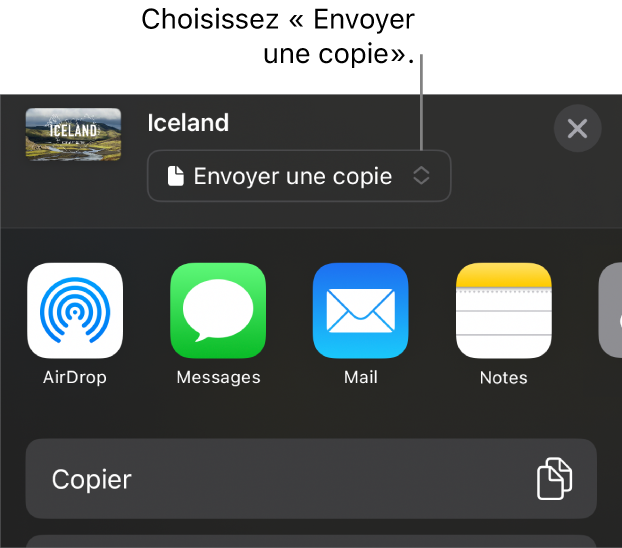 Le menu Partager avec l’option Envoyer une copie sélectionnée en haut.