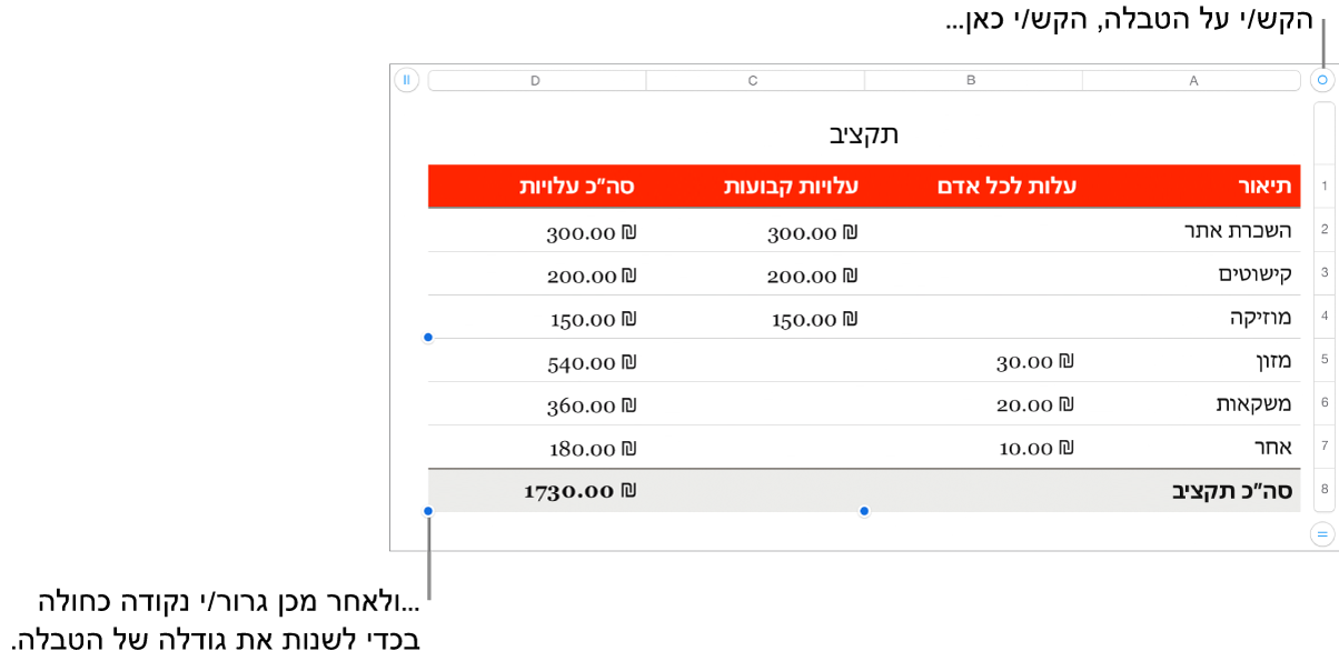 טבלה שנבחרה, עם נקודות כחולות לשינוי גודל.