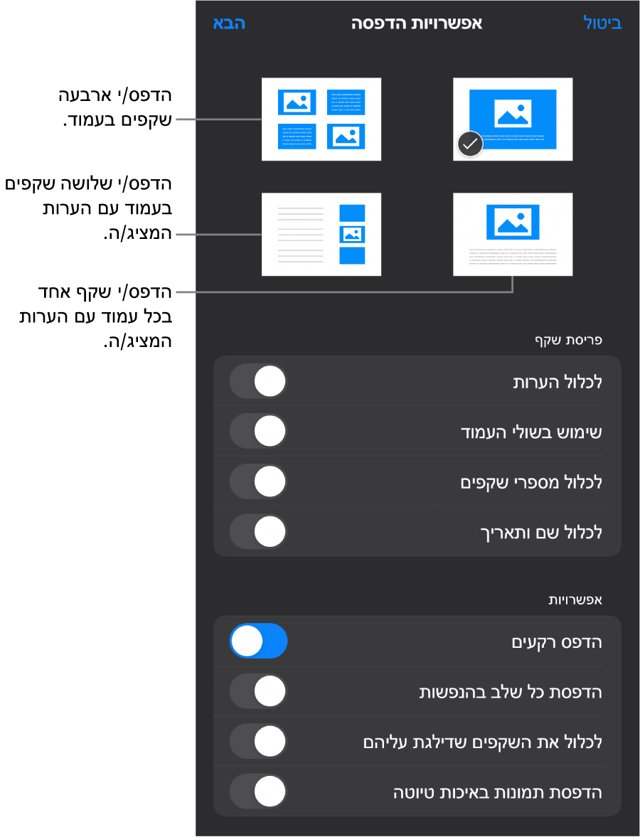 אפשרויות פריסת הדפסה.