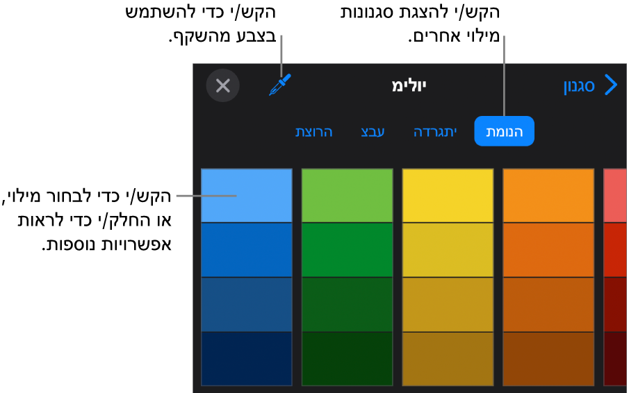 אפשרויות מילוי בכרטיסיה ״סגנון״.