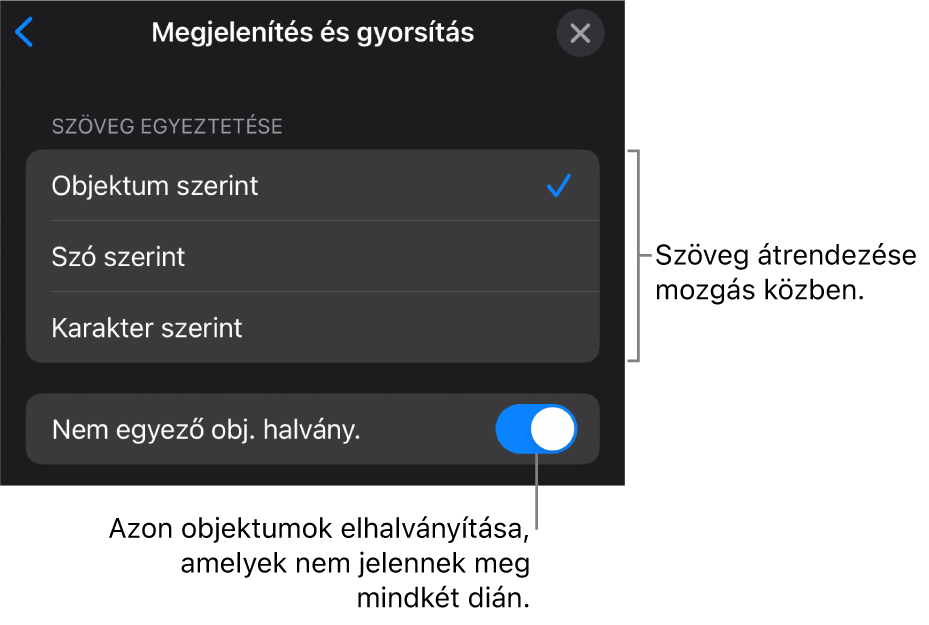 A Varázsmozgás végrehajtás és gyorsítás beállításai a Gyorsítás panelen