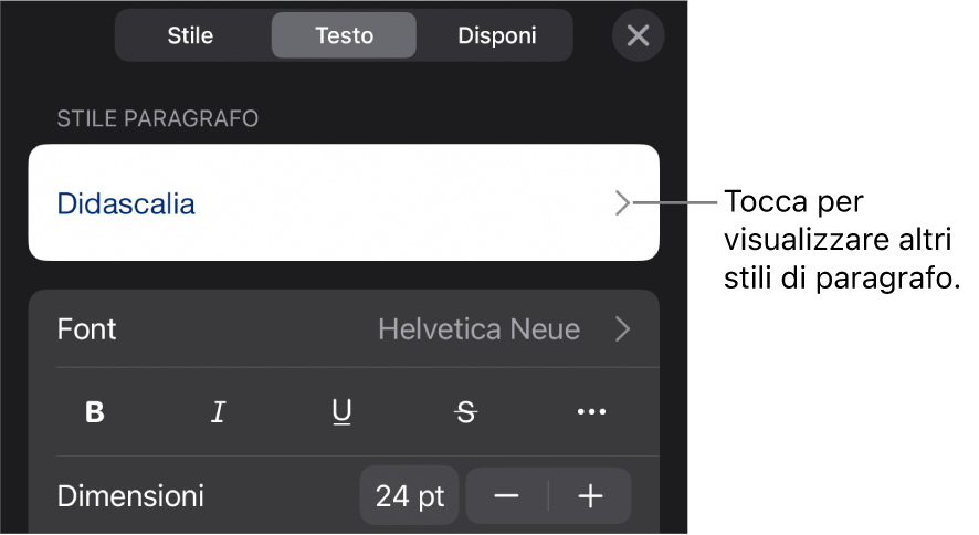 Menu Formato con controlli di testo per impostare stili carattere e paragrafo, font, dimensione e colore.