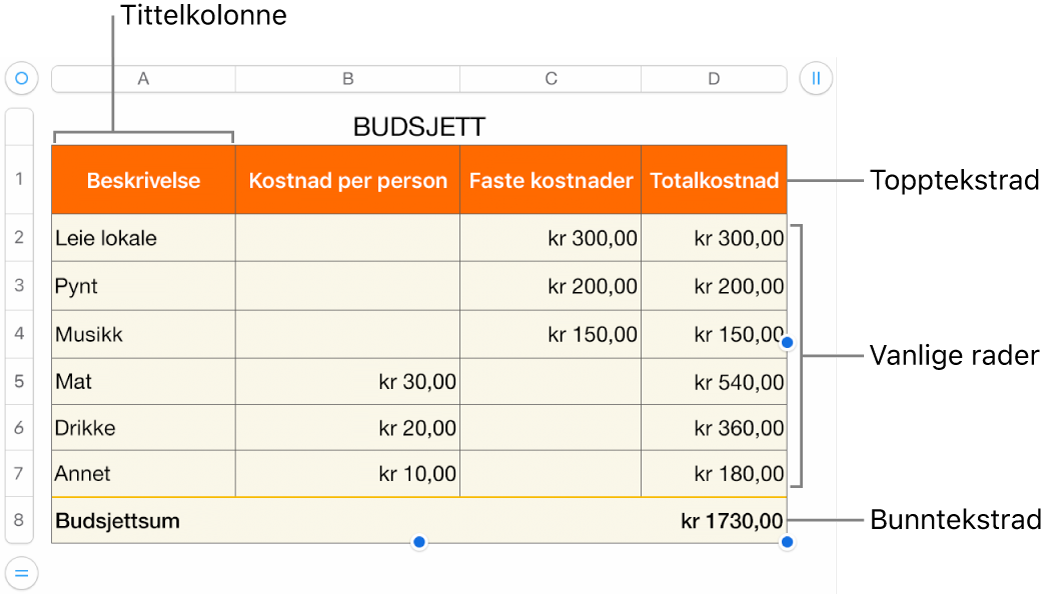 En tabell som viser tittelrader og -kolonner, vanlige rader og kolonner, bunnrader og -kolonner og håndtak for å legge til eller slette rader eller kolonner.