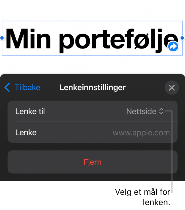 Lenkeinnstillinger-kontrollene med Nettside markert og Fjern-knappen nederst.