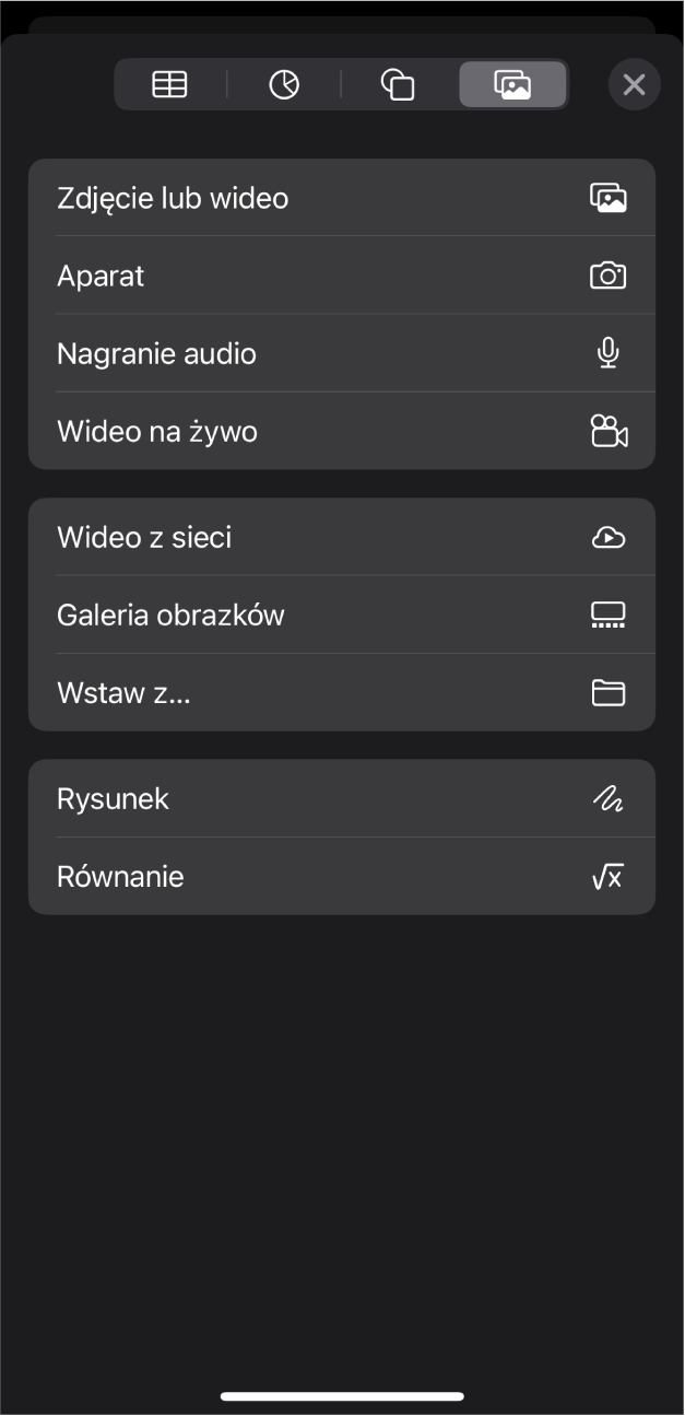 Menu Multimedia zawierające przyciski umożliwiające dodawanie i nagrywanie różnych obiektów multimedialnych.