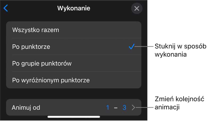 Opcje wykonania w panelu Wejście.