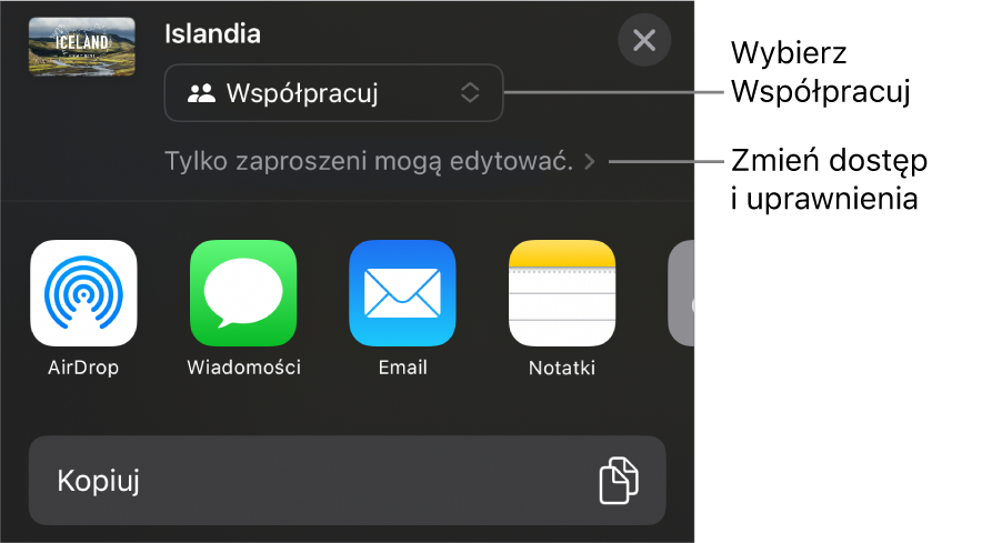 Menu udostępniania z opcją Współpracuj wybraną u góry oraz ustawieniami dostępu i uprawnień poniżej.