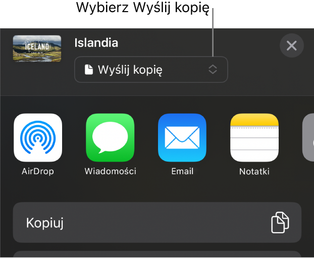 Menu udostępniania z wybraną opcją Wyślij kopię (na górze).
