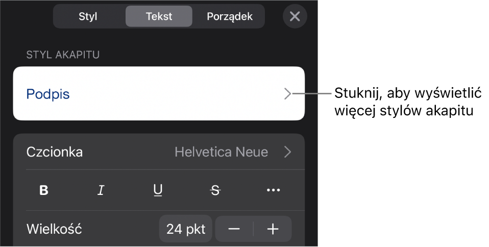 Menu Format z narzędziami tekstu pozwalającymi na ustawianie stylów akapitu, stylów znaków, czcionki, wielkości oraz koloru.