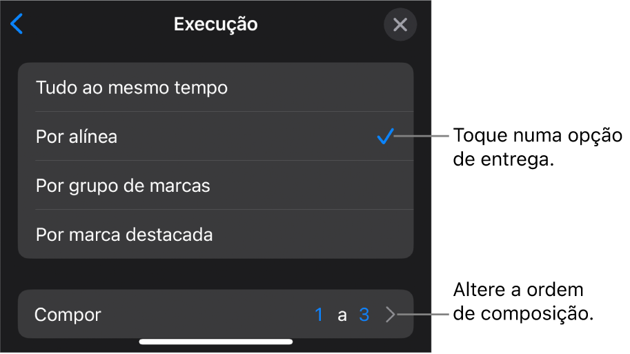 Opções de execução no painel “Entrada”.