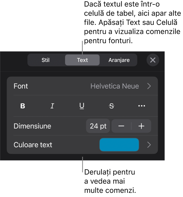 Comenzi text din meniul Format pentru configurarea paragrafelor și a stilurilor, fonturilor, dimensiunii și culorii caracterelor.