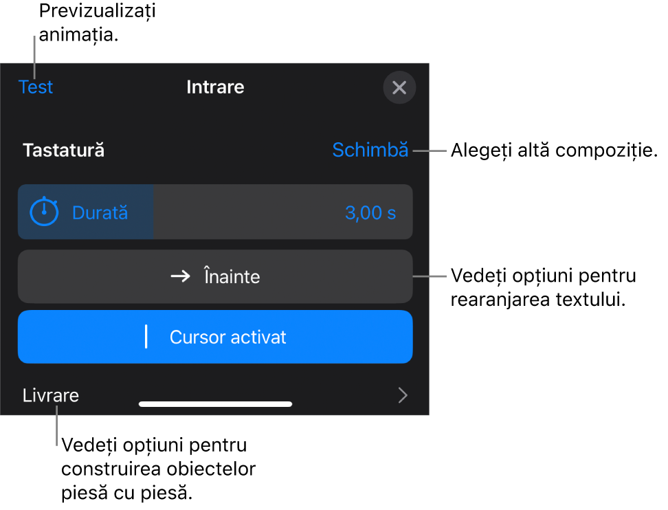 Opțiunile de compoziție includ Durată, Animație text și Livrare. Apăsați Schimbați pentru a alege o altă compoziție sau apăsați Preafișează pentru a previzualiza compoziția.