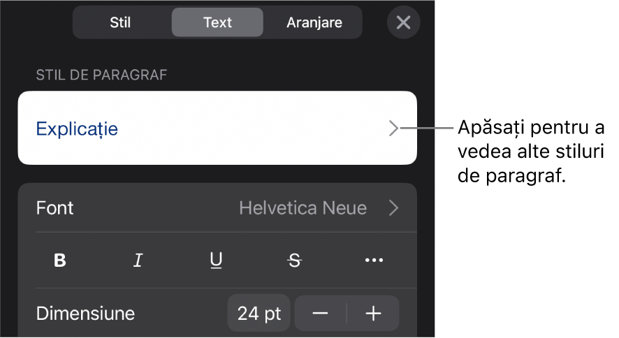 Meniul Format afișând comenzi de text pentru configurarea stilurilor, fonturilor, dimensiunii și culorii paragrafelor și caracterelor.