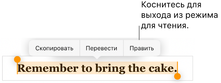 Выбрано предложение; над ним отображается контекстное меню с кнопками «Скопировать» и «Правка».