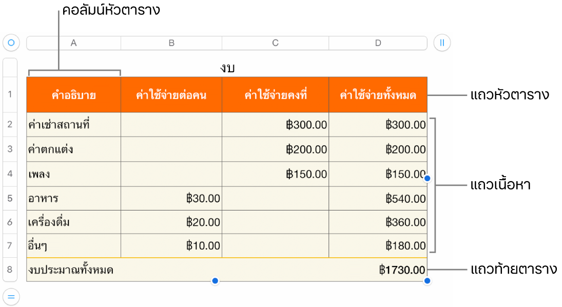 ตารางที่แสดงแถวและคอลัมน์หัวตาราง ตัวตาราง และท้ายตาราง และขอบจับเพื่อเพิ่มหรือลบแถวหรือคอลัมน์