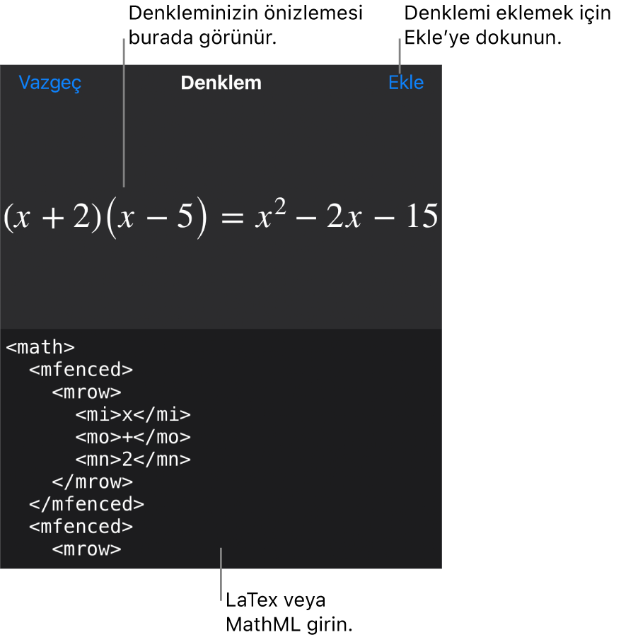 MathML komutları kullanılarak yazılmış bir denklemi ve onun üstünde formülün önizlemesini gösteren Denklem sorgu kutusu.