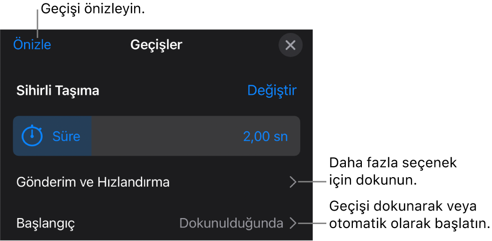 Geçişler bölümündeki Sihirli Taşıma denetimleri.