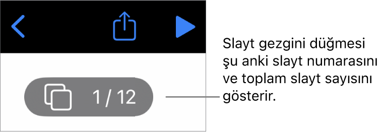 Şu anki slayt numarasını ve sunudaki toplam slayt sayısını gösteren slayt gezgini düğmesi.