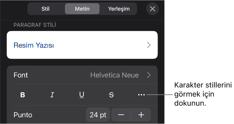 En üstteki paragraf stilleri ile Biçim denetimleri, ardından Font denetimleri. Font’un altında Kalın, İtalik, Altı Çizgili, Üstü Çizgili ve Daha Fazla Metin Seçeneği düğmeleri bulunur.