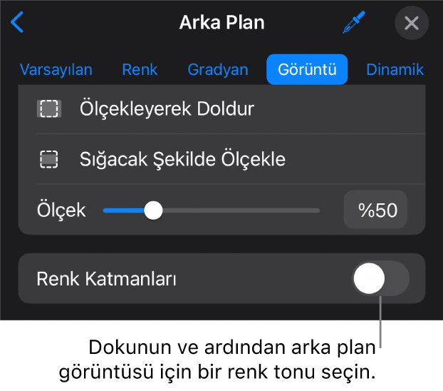 Arka Plan denetimleri, slayt arka planı olarak ayarlanmış bir görüntü ve en alttaki Renk Kaplama ile.