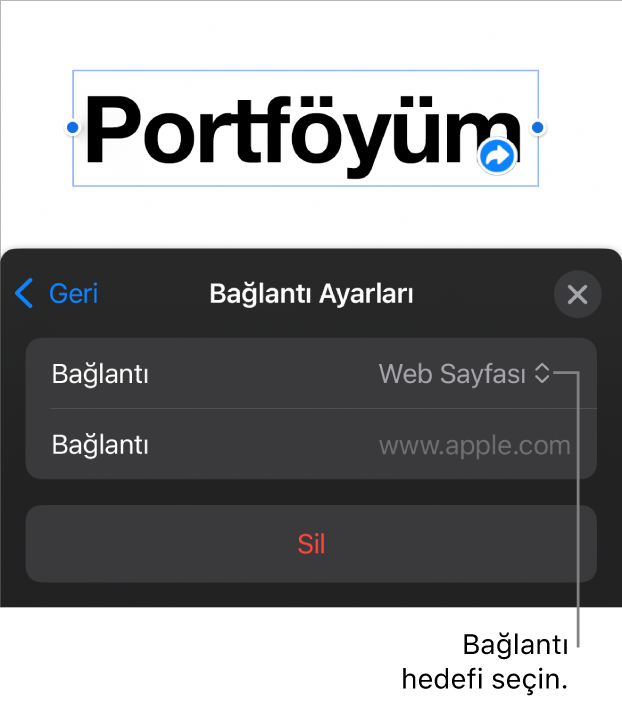 Bağlantı Ayarları denetimlerinde Web Sayfası seçili, en altta ise Sil düğmesi bulunuyor.