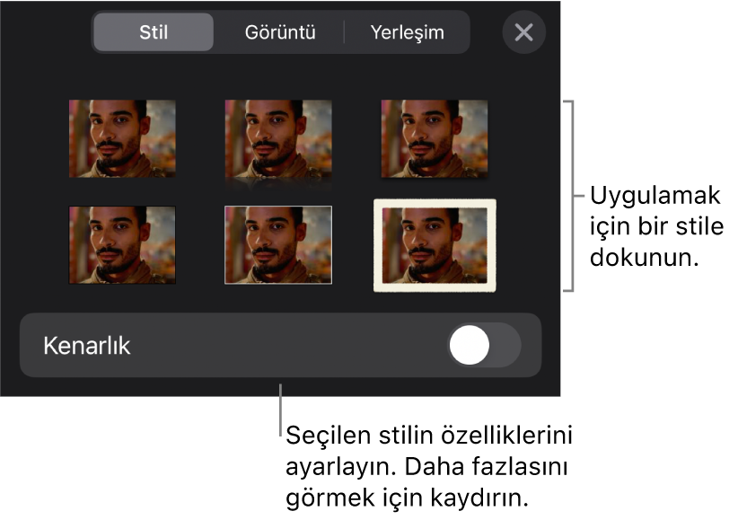 En üstte nesne stilleri ve onların altında sınır değiştirme denetimiyle Biçim menüsünün Stil sekmesi.