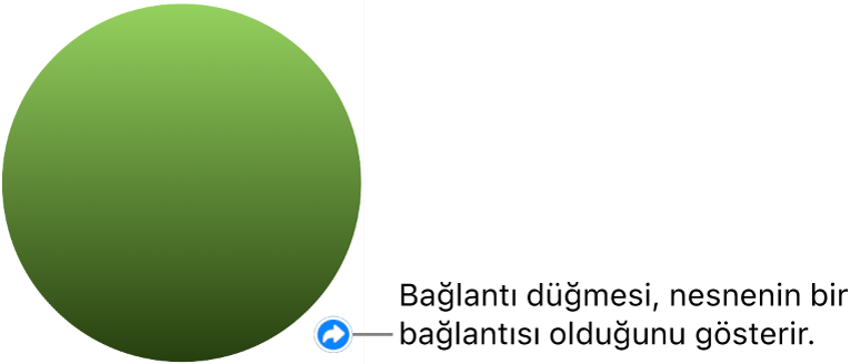 Şekildeki bağlantı düğmesi.