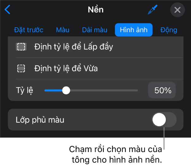 Các điều khiển Nền với hình ảnh được đặt dưới dạng nền trang chiếu và điều khiển Lớp phủ màu ở dưới cùng.