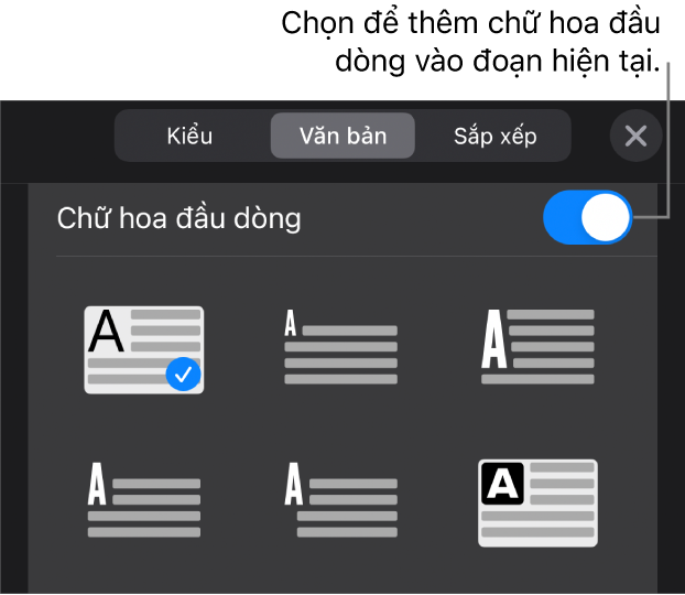 Các điều khiển Chữ hoa đầu dòng nằm trong menu Văn bản.