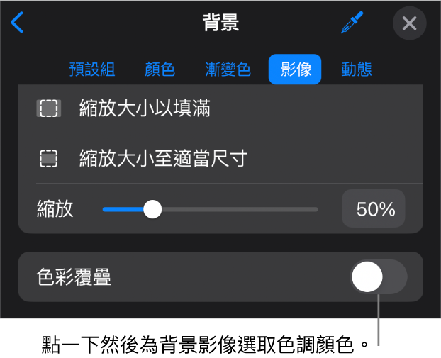 「背景」控制項目，其中一個影像已設定為幻燈片背景，且「色彩覆疊」控制項目位於底部。