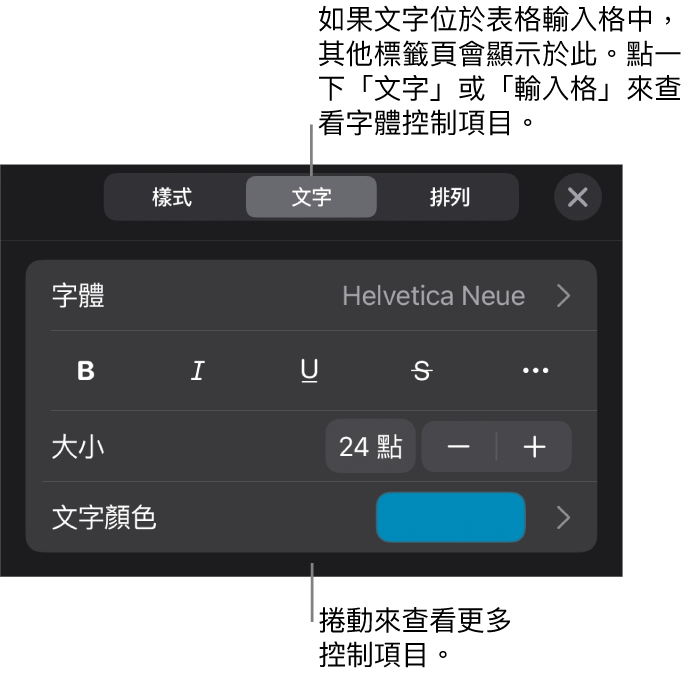 「格式」選單中設定段落及字元樣式、字體、大小和顏色的文字控制項目。