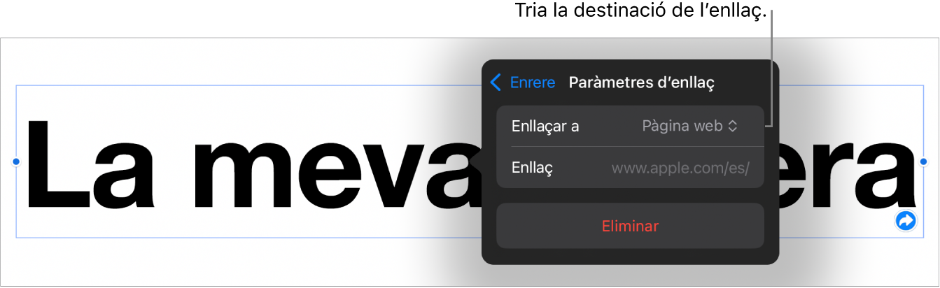 Controls “Paràmetres d’enllaç” amb l’opció “Pàgina web” seleccionada i el botó “Elimina” situat a la part inferior.