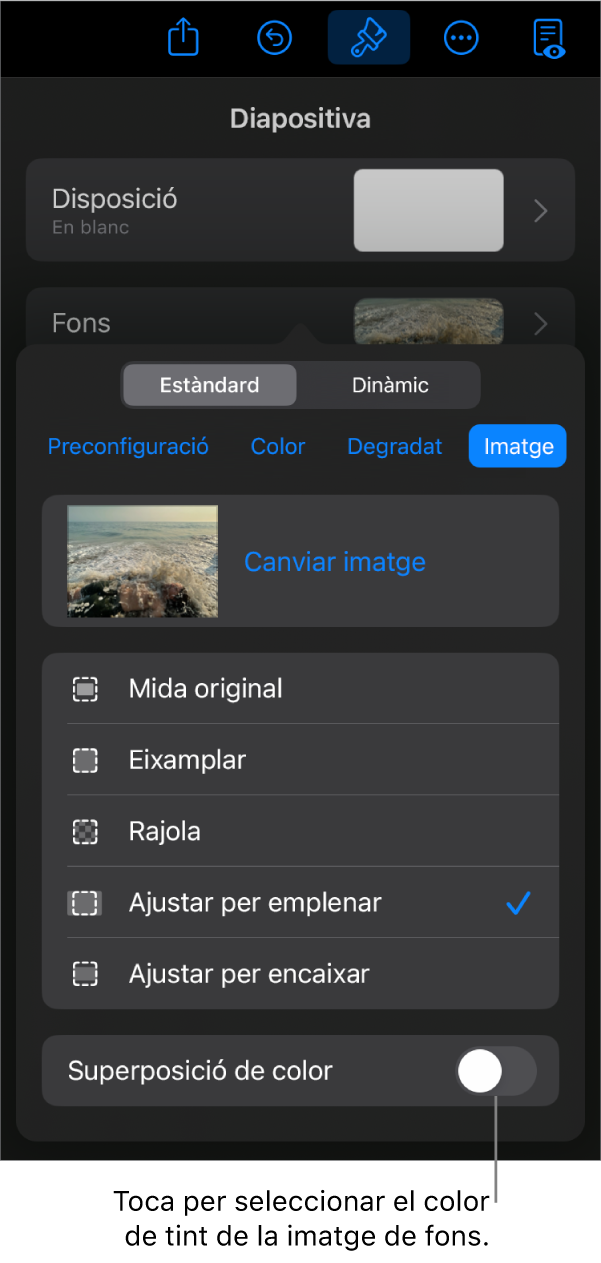 Els controls del fons amb una imatge com a fons de diapositiva i el control “Superposició de color” a la part inferior.