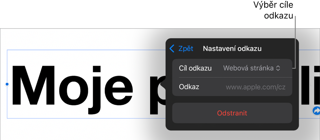 Ovládací prvky Nastavení odkazu s vybranou volbou Webová stránka a tlačítkem Odstranit v dolní části