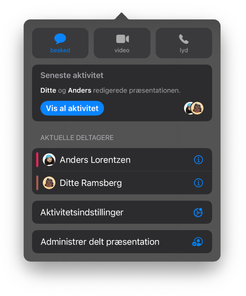 Samarbejdsmenuen, der viser navnene på de personer, der samarbejder om præsentationen.