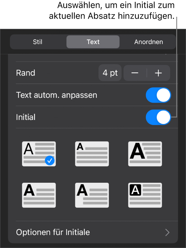 Die Steuerelemente „Initial“ im Menü „Text“