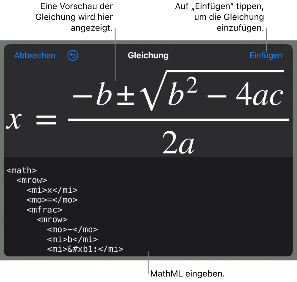 Im Dialogfenster „Gleichung“ wird eine Gleichung angezeigt, die mit MathML-Befehlen geschrieben wurde, darüber wird eine Vorschau der Formel angezeigt.