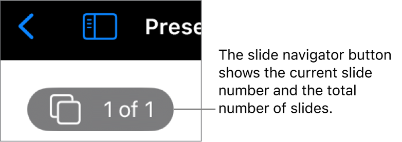 The slide navigator button showing the current slide number and the total number of slides in the presentation.