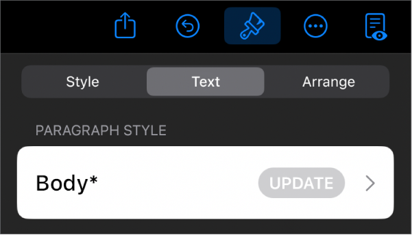 A paragraph style with an asterisk next to it and an Update button on the right.