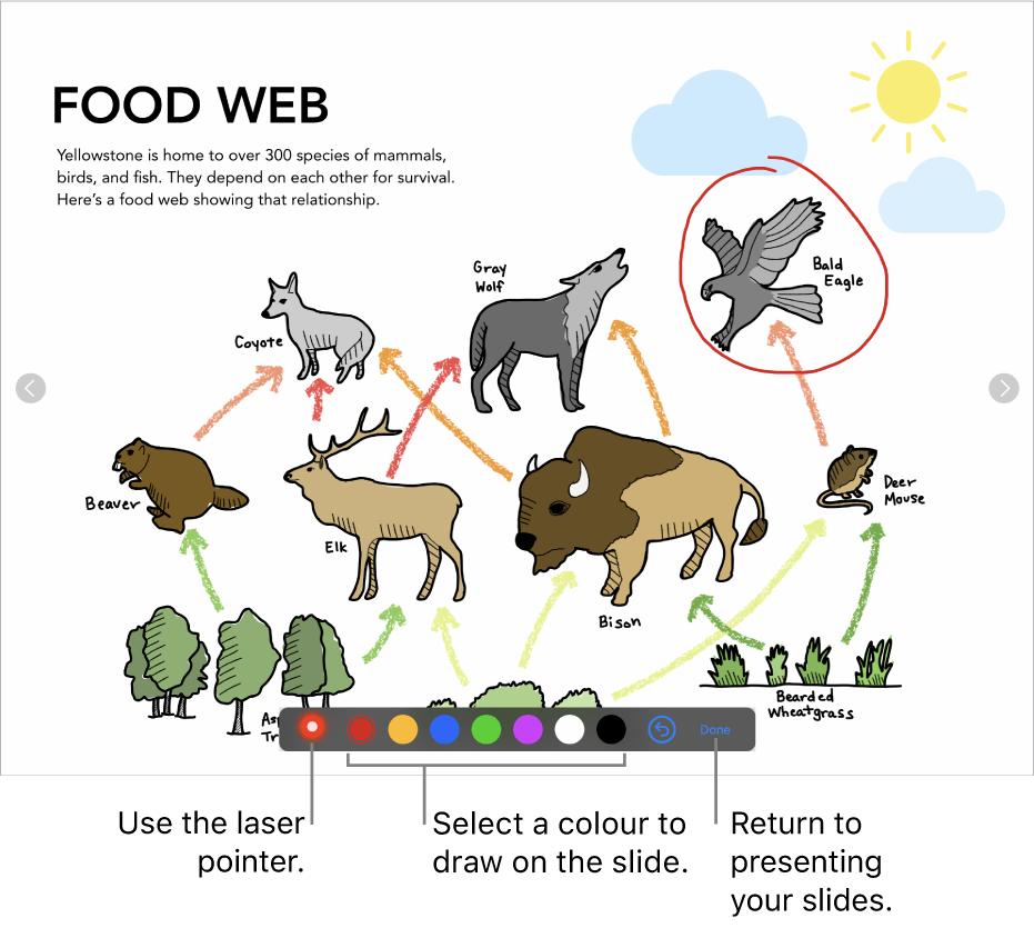 A slide in slide illustration mode showing the laser pointer and colour selection controls.