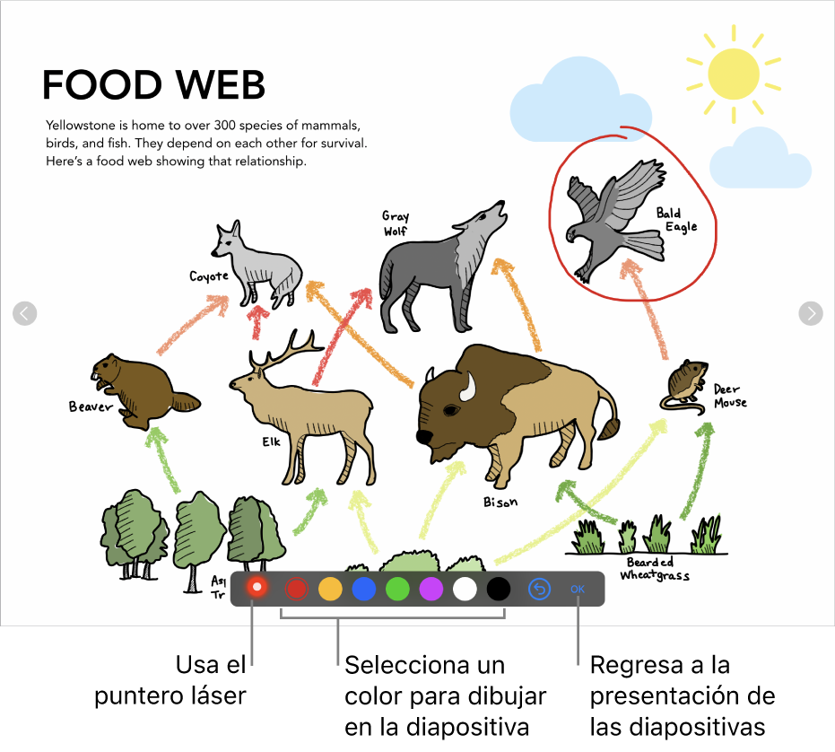 Una diapositiva en el modo de ilustración de diapositiva con el puntero láser y los controles de selección de color.