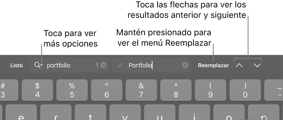 Los controles Buscar y Reemplazar arriba del teclado con mensajes en los botones Opciones de Búsqueda, Reemplazar, Subir y Bajar.