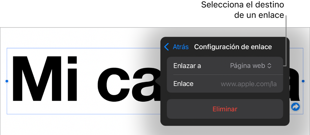 Los controles de Configuración de enlace con la opción Página web seleccionada, y el botón Eliminar en la parte de abajo.