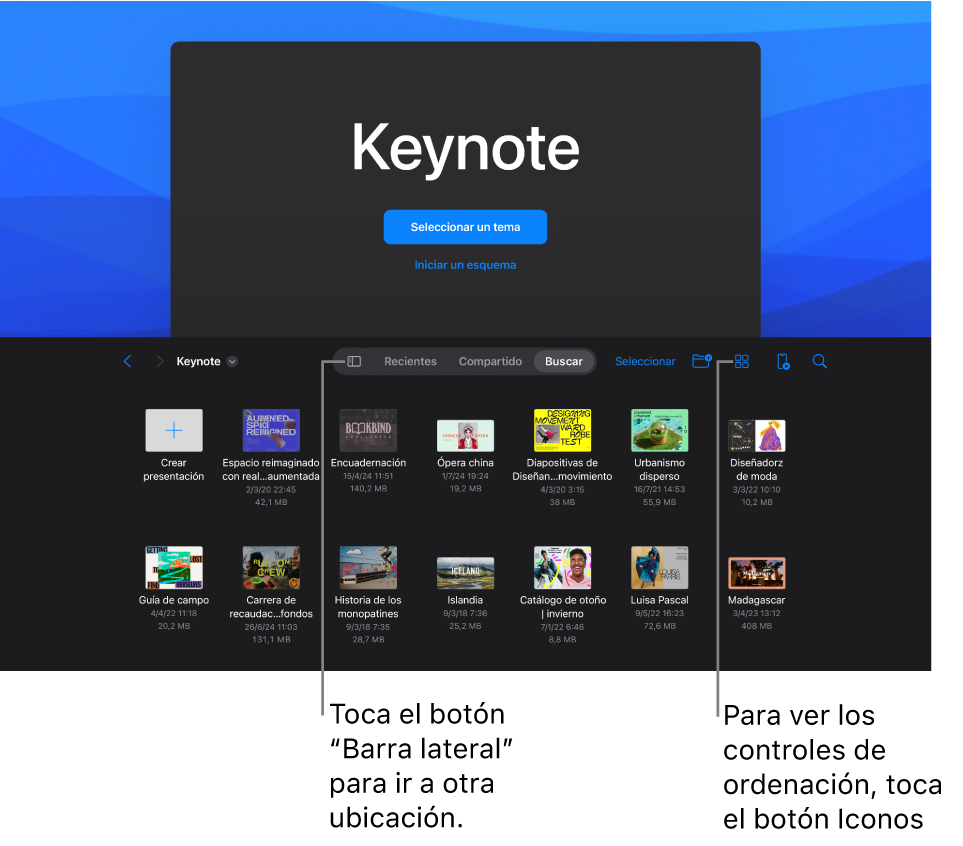 En la mitad superior de la pantalla aparece el gestor de documentos con botones para seleccionar un tema y comenzar una presentación desde un esquema y, en la parte inferior, el explorador de documentos y las presentaciones guardadas.