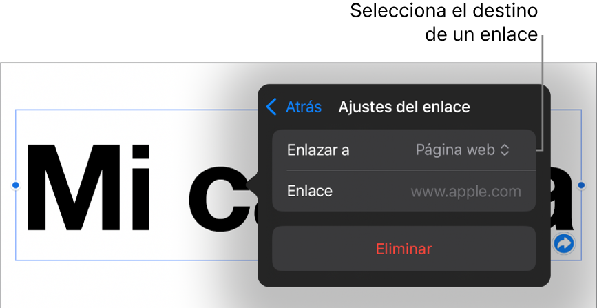 Controles de “Ajustes de enlace” con la opción “Página web” seleccionada y el botón Eliminar en la parte inferior.