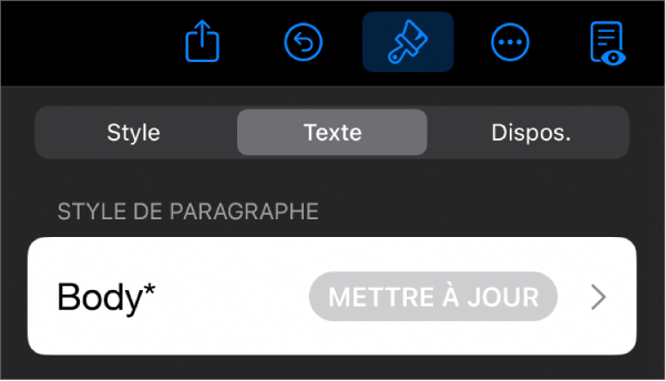 Style de paragraphe avec un astérisque affiché à côté et un bouton Mettre à jour à droite.