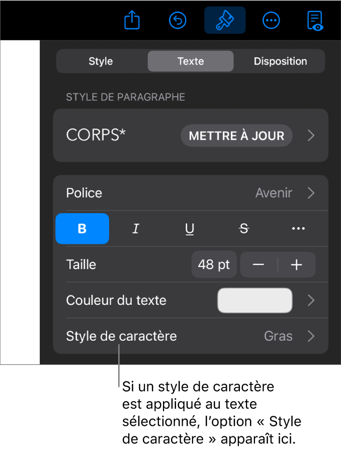 Commandes de mise en forme de texte avec Style de caractère au-dessous des commandes de couleur. Le style de caractère Aucun s’affiche avec un astérisque.